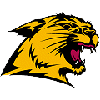 Northern Michigan Wildcats